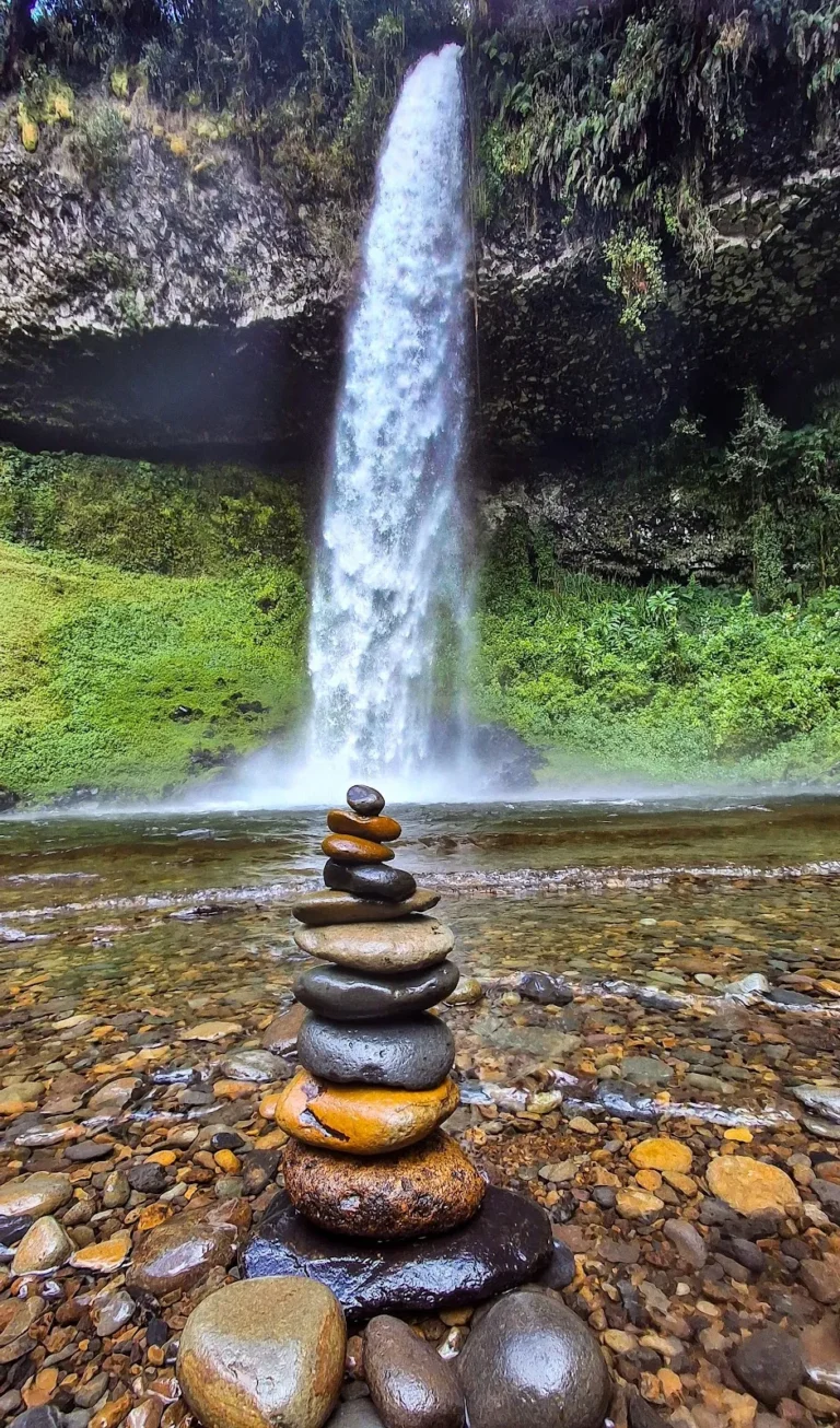 Mount Kenya National Park 06
